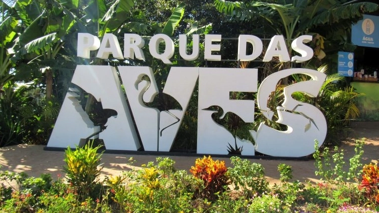 Imagem de vitrine